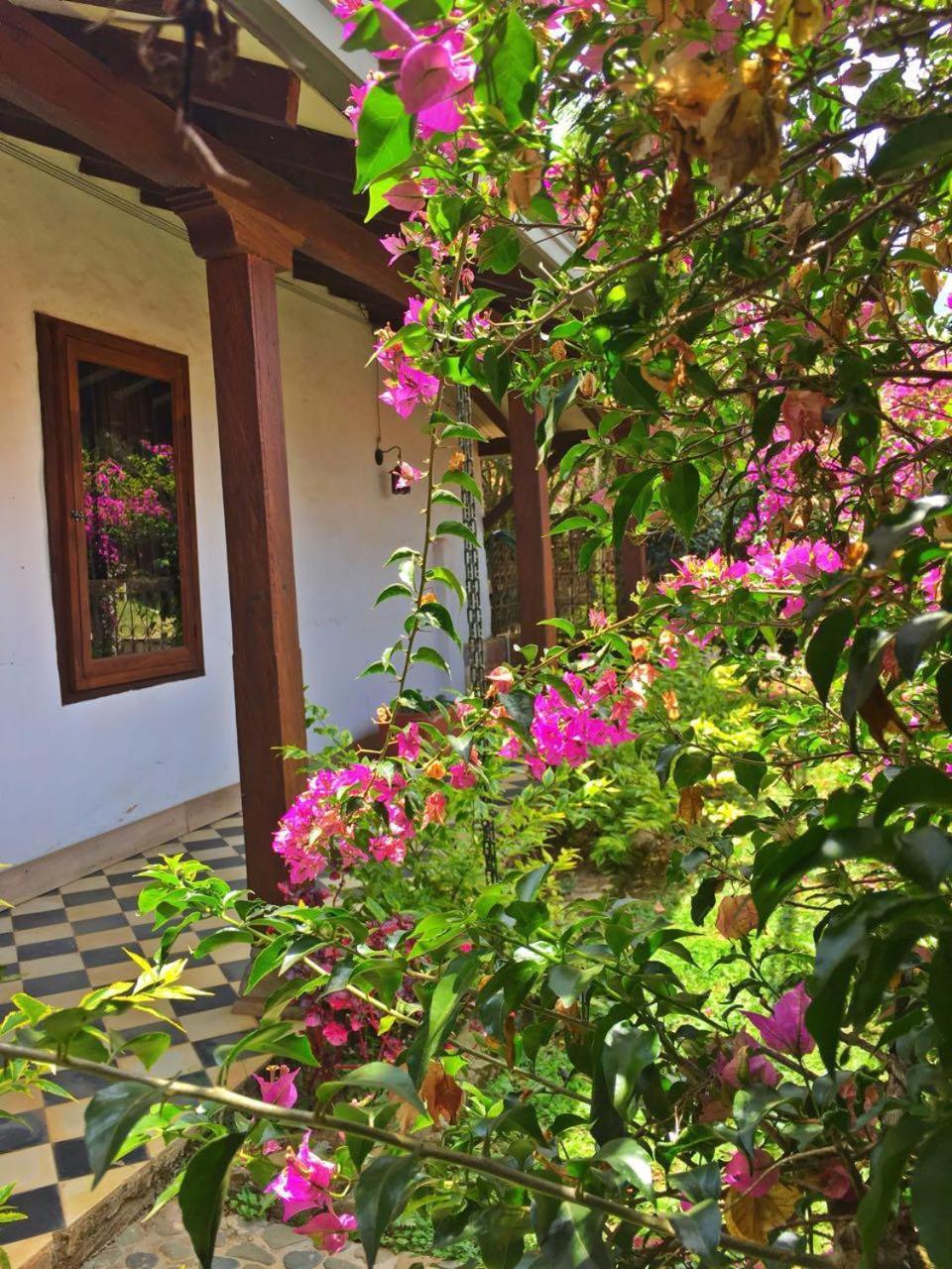 Casa Santamaria Hotel Campestre Jericoc  Luaran gambar